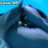 【模拟鱼】E25 锯齿鱼成长之路!!我真的很恨锯齿鲨!!!