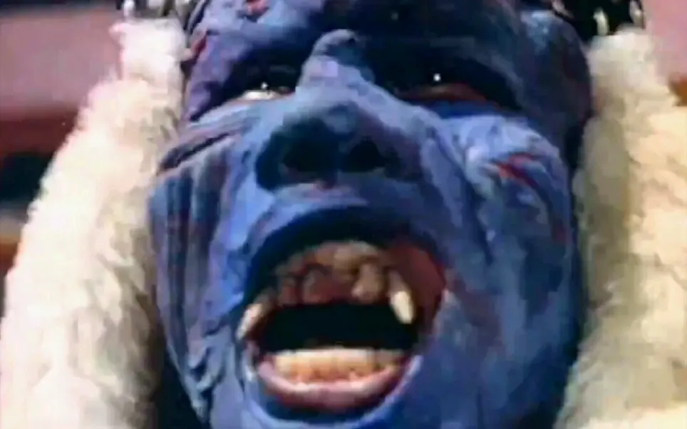 肥猫和师妹联手对付铜甲尸，史上最惨僵尸被俩道士揍来揍去。