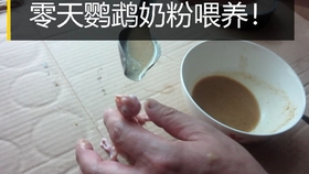cfca7356f8a3aa32b38b165d9873928a53bf6ff4.jpg@280w_158h_1c_100q.jpg