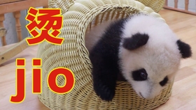 cfcfbeb5be80d44ba8b84e1db110982a6efd22c8.jpg@280w_158h_1c_100q.jpg