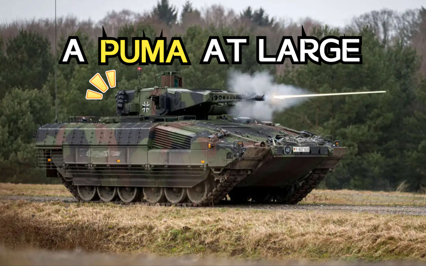 德国“美洲狮”（Puma IFV）步兵战车