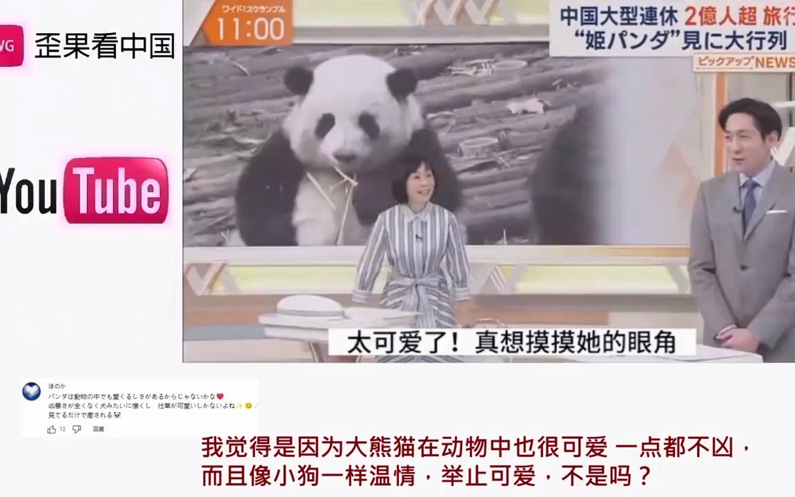 【外国人瞧中国】花花公主火到海外日本媒体前来采访，日本网友：把它带到日本来