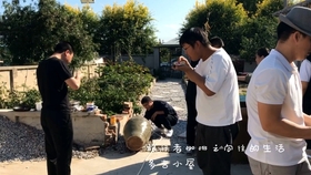 旅行者小多近况 d00a691a52fea0785f949c3bb784eb39994105c5.jpg@280w_158h_1c_100q.jpg