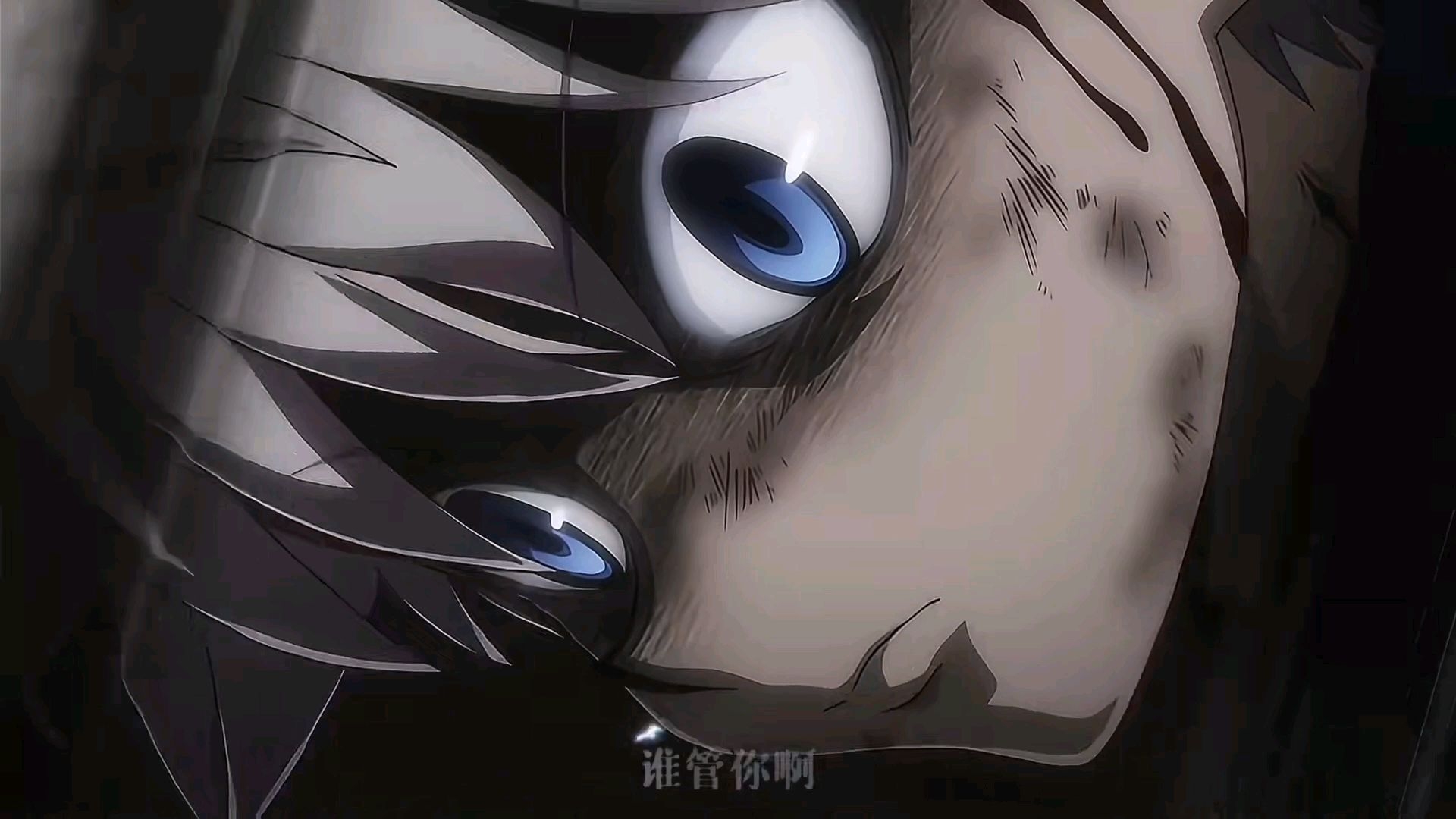 Full time hunter, high energy mixed cuts, you can rewatch if you like!