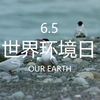 【世界环境日】世界环境日宣传视频