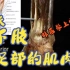 艾氏解剖学  下肢-15（足部的肌肉）