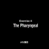 4.The pharyngeal