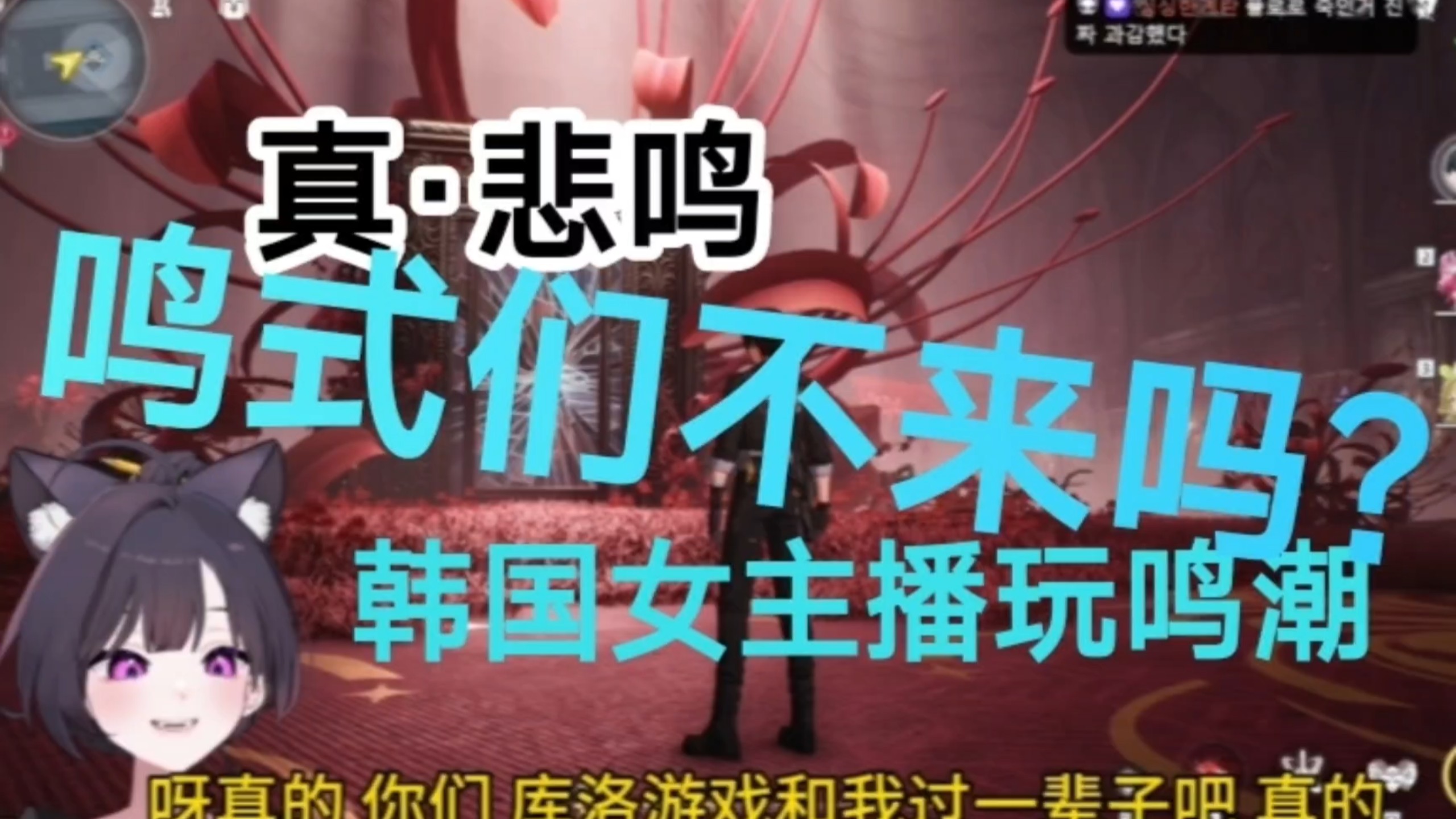 [鸣潮/熟肉]韩国女主播김하루（悲鸣姐）鸣潮2.5剧情片段 Reaction