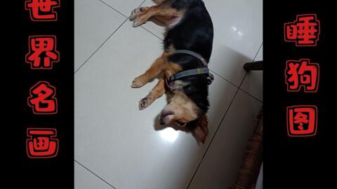 d05a7c95f2691f2e774c16b8963aed50eaf041f2.jpg@480w_270h_1c