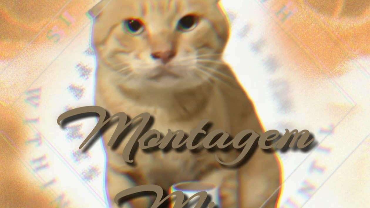 【完整版】哈基米：Montagem Miau🐱