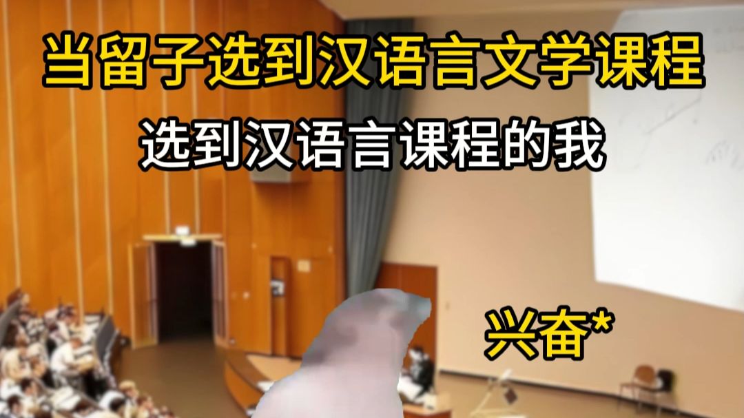 当留子选了汉语言课程...