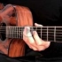 Canon in D - Pachelbel - Acoustic Guitar