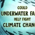 【TED科普】水下农场与气候变化（中英字幕）