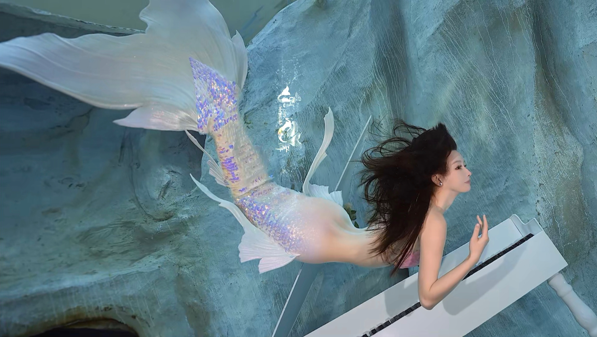 生而为鱼 水下传奇