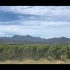 新西兰最大的葡萄酒产区-马尔堡Marlborough