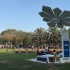 迪拜“种”了数十棵发电树，让人免费充电蹭网，还能全天候监控