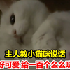 主人教小猫咪说话，“好可爱 给一百个么么哒”，网友：宝宝给我钓成翘嘴了