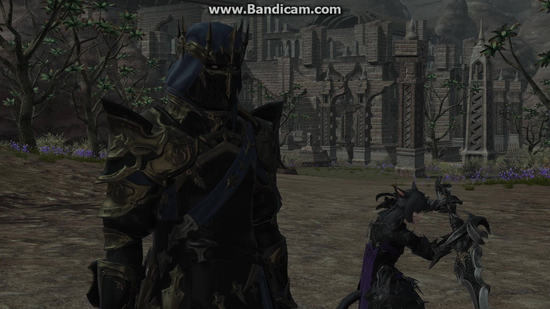 ff1470级暗骑职业任务弗雷再登场