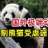 国外极端动保破坏熊猫外交，跟风者明知是谣言仍在传播