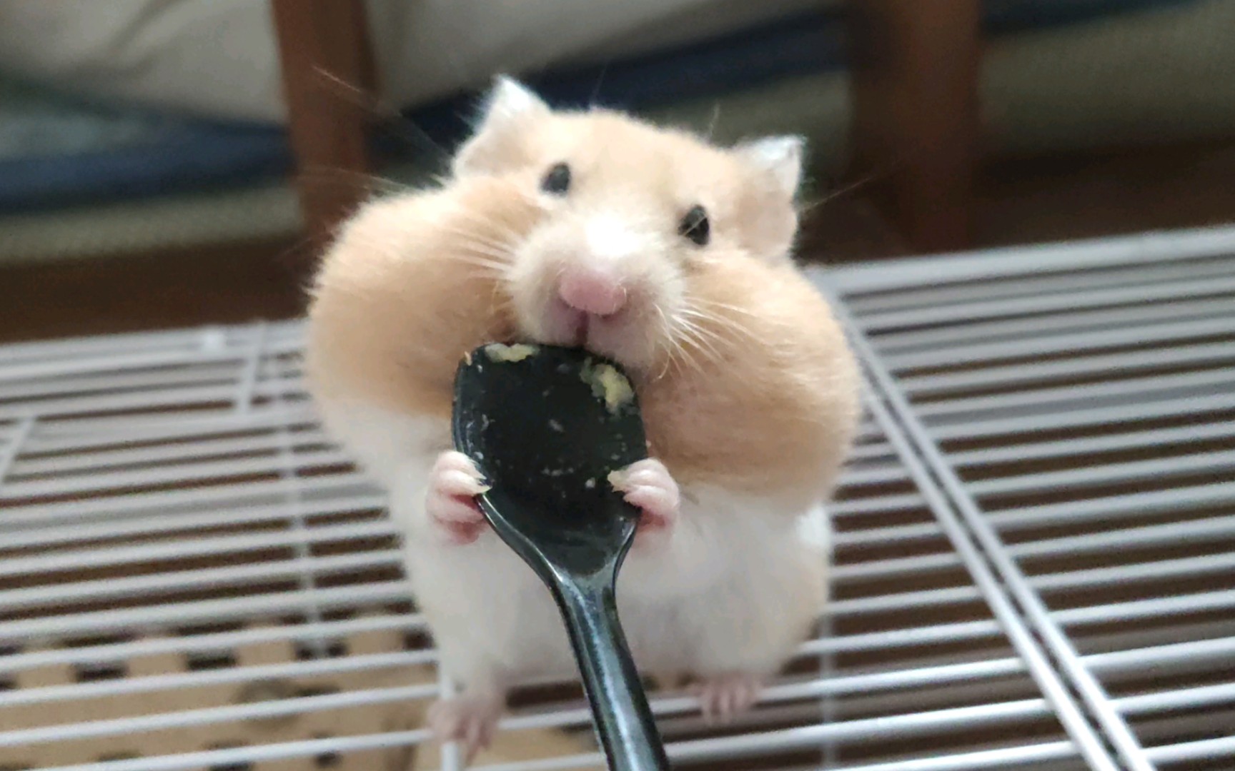 Eat some paste.