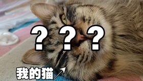 d13ea2ecf6c895c1ee22bcc7eb24c4bc23624ef8.jpg@280w_158h_1c_100q.jpg