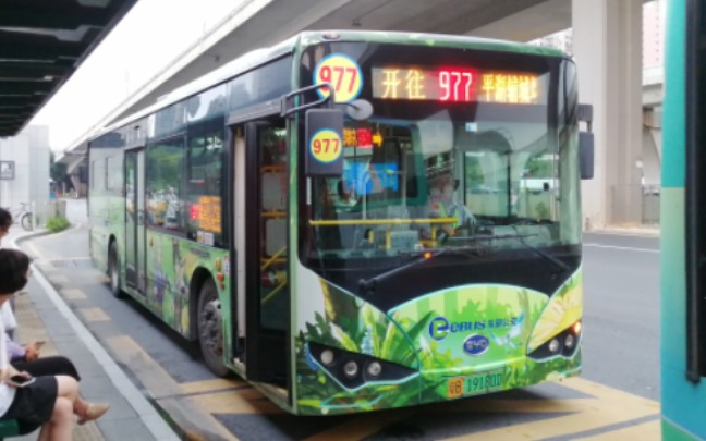 【深圳公交】东部公交977线，这个K8的后门挺有意思