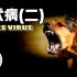 【病毒系列】狂犬病（二） 最致命病毒 神经细胞的杀手