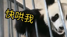 d171dfd97d01c48dd8464af95e4ccc548bd8121f.jpg@280w_158h_1c_100q.jpg