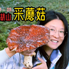 今年的蘑菇王诞生了！徒步采蘑菇真过瘾