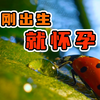 《刚出生 就怀孕