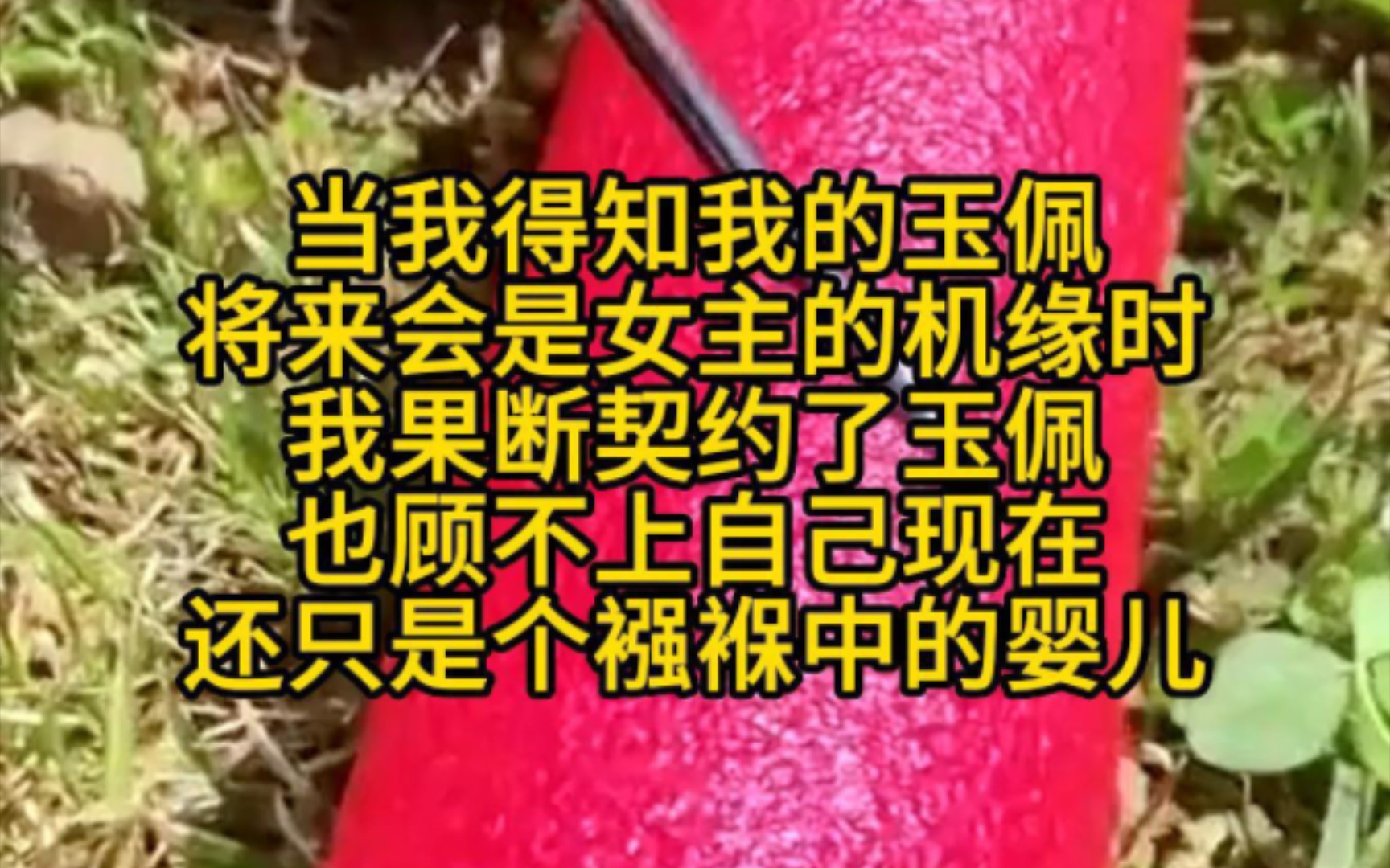 《为己合意》我从来没有想到，抱错孩子这件事会发生在我的身上。亲生父母带着那个被抱错的女孩找到我时。我正提着棍子，在小巷子里和一群混混抽着烟。他们愣住了