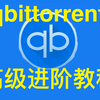 【教程】qbittorrent完全使用指南，最强免费BT下载器如何设置