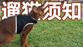 d1b3753dd9fadcf3a959c35d99e997bf8e74602d.jpg@280w_158h_1c_100q.jpg