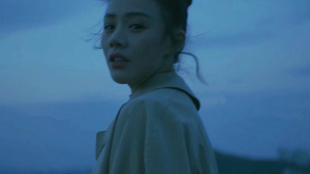 免费观看短剧，影门之窗的魅力，免费观看短剧，影门之窗的魅力
