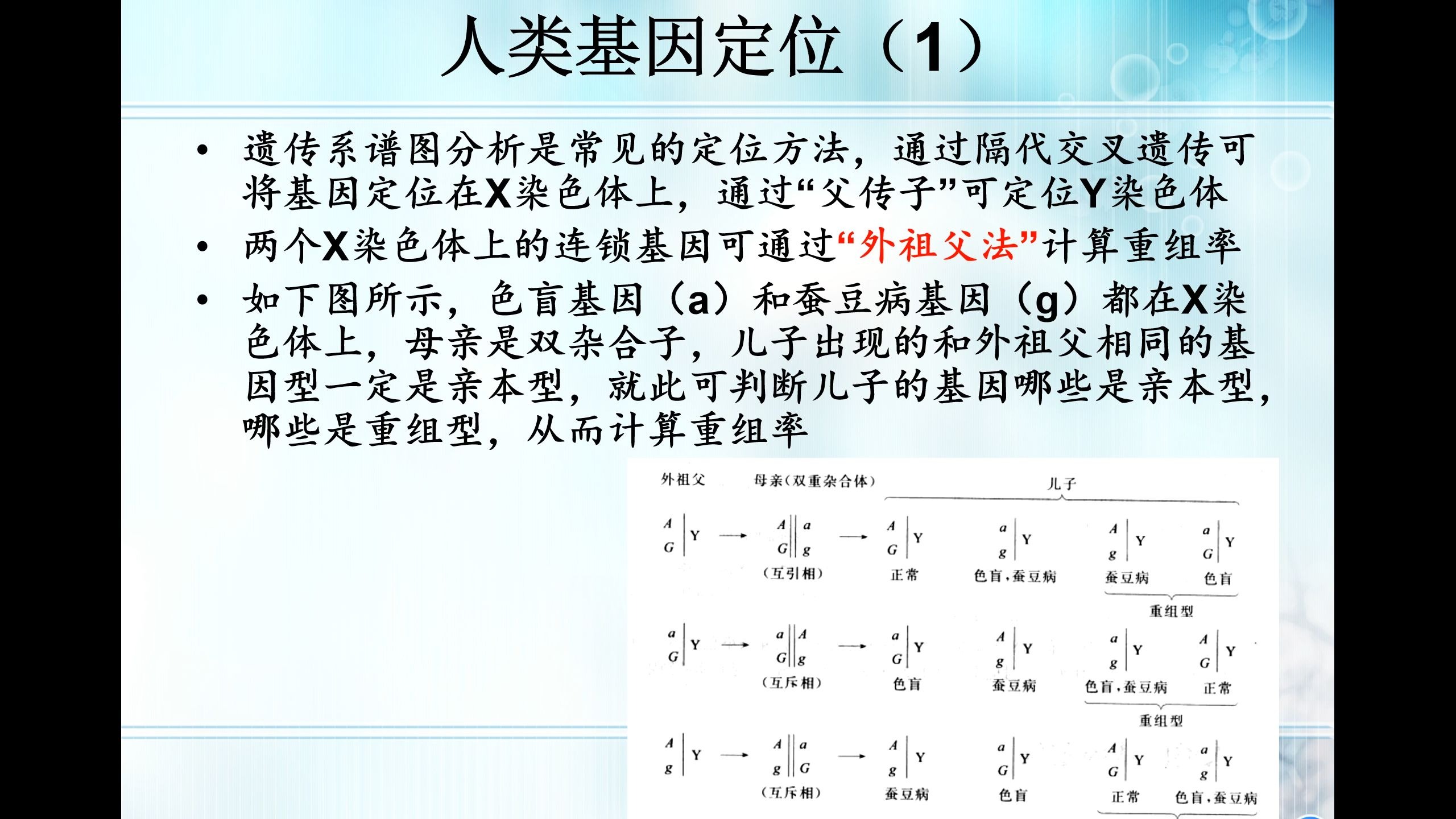 生物竞赛难点126-遗传与分子生物学补充-人类基因定位