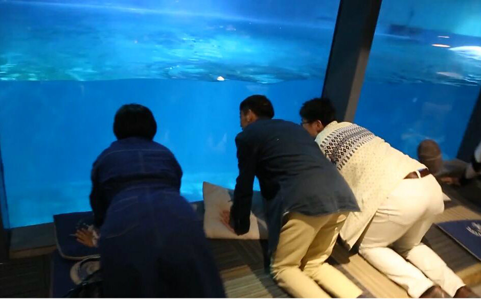 天生吃货之大连吃海鲜【722】视频在线观看