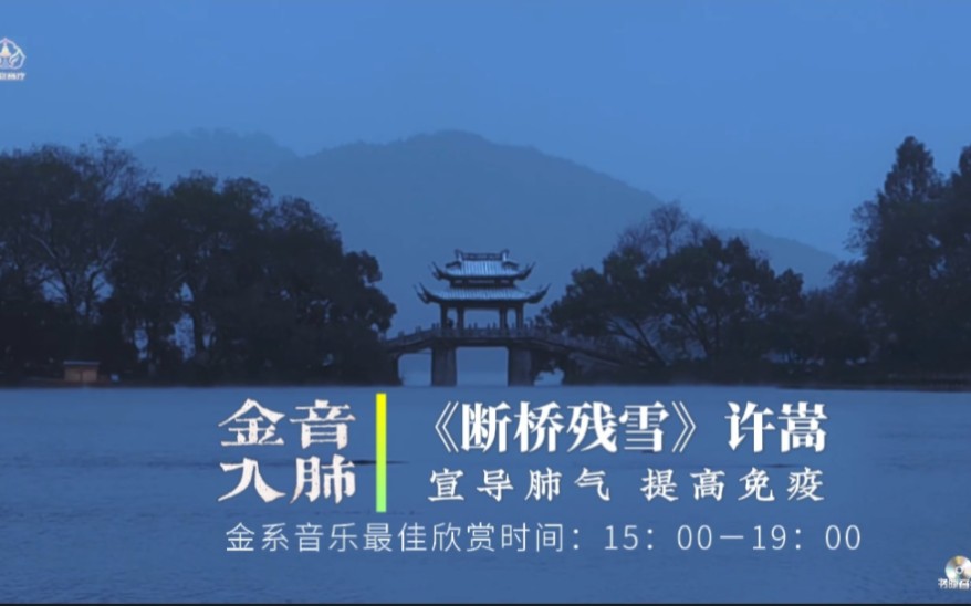 『五音疗疾』金音入肺，视听疗愈，宣导肺气，调畅气机，提高免疫，感冒了听它真舒服《断桥残雪》