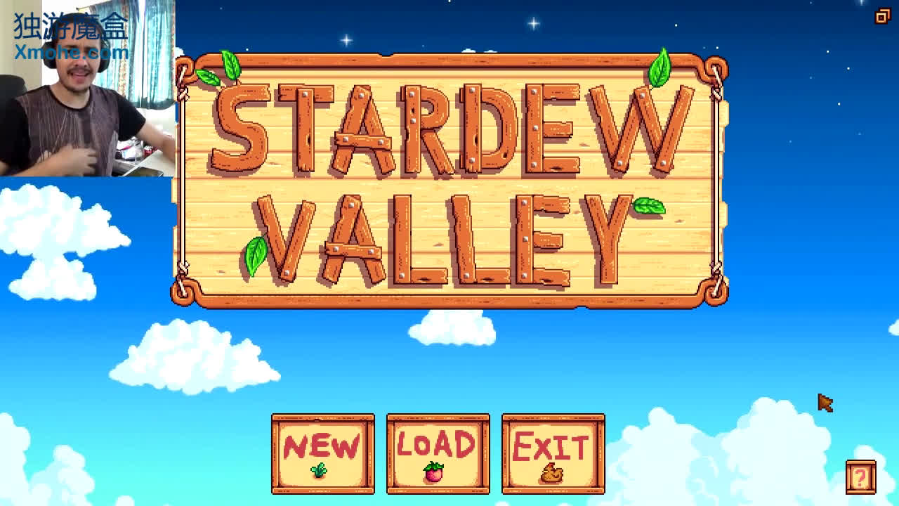 【独游资讯】一款类似像素画风的rpg游戏新作《stardew valley》-独游