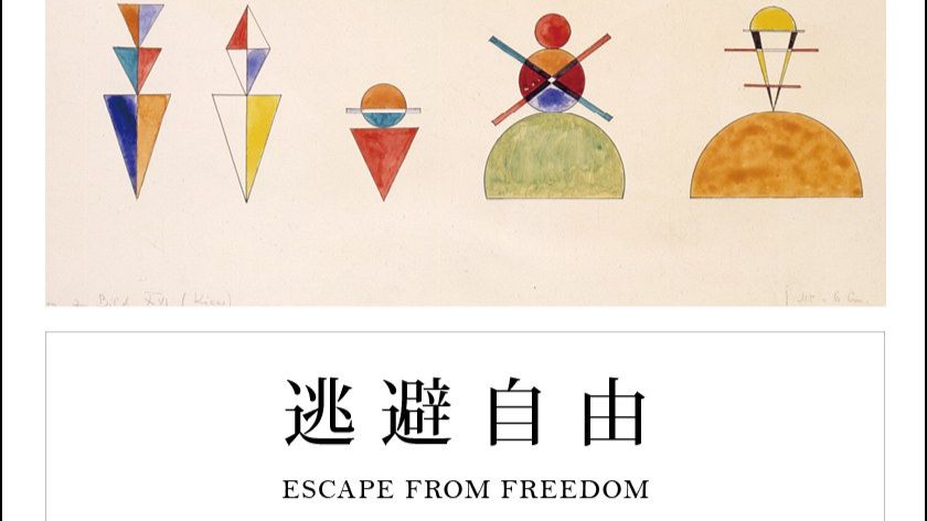 《逃避自由》戳穿现代人的通病
