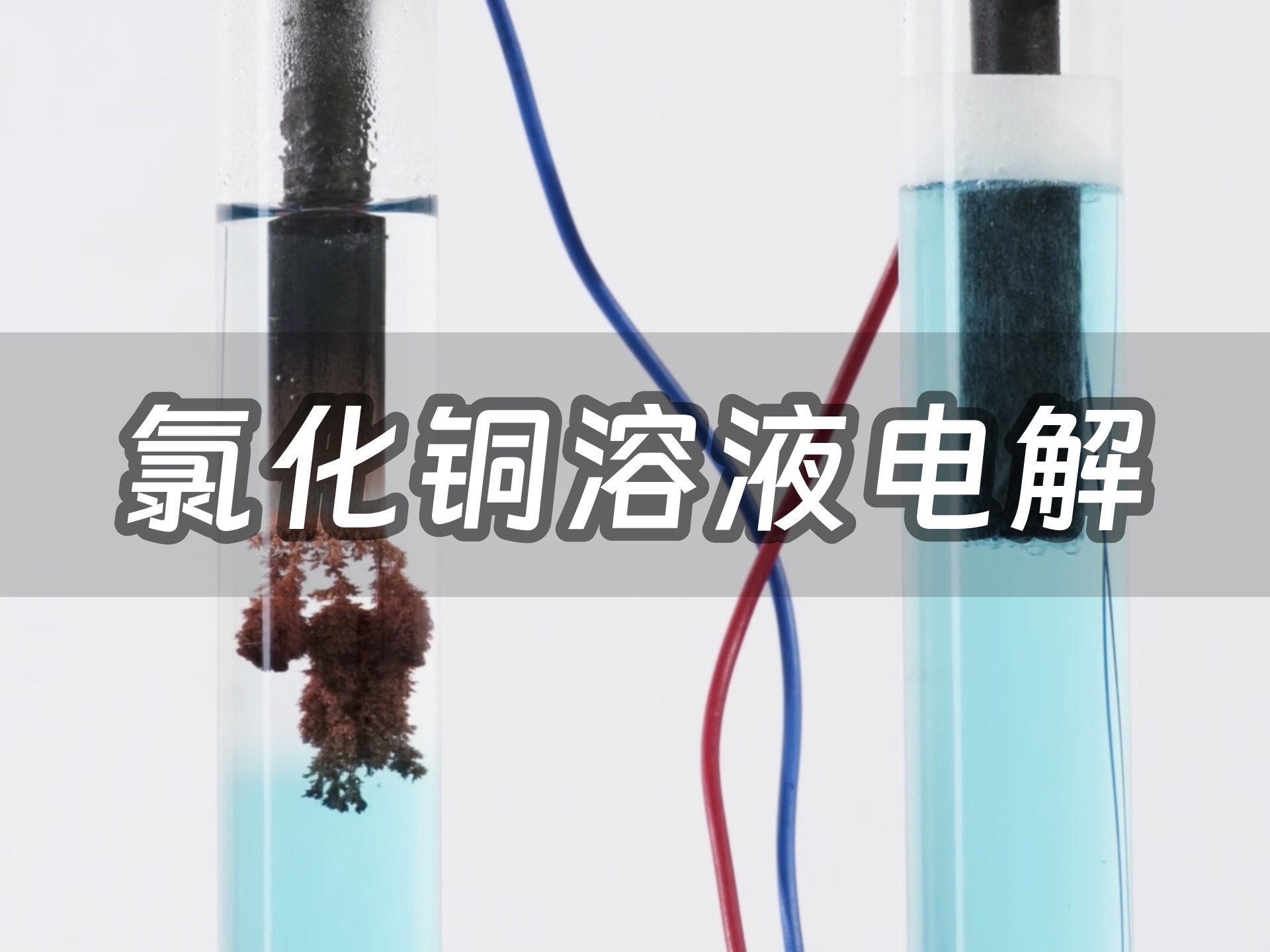 【氯化铜溶液的电解】一边呼吸一边生长，连接生命的通路