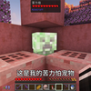 当你在mc养了个苦力怕宠物(苦力怕寸止挑战 误