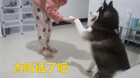d22028f7df8de429d66061d7a3329a932938c76b.jpg@480w_270h_1c
