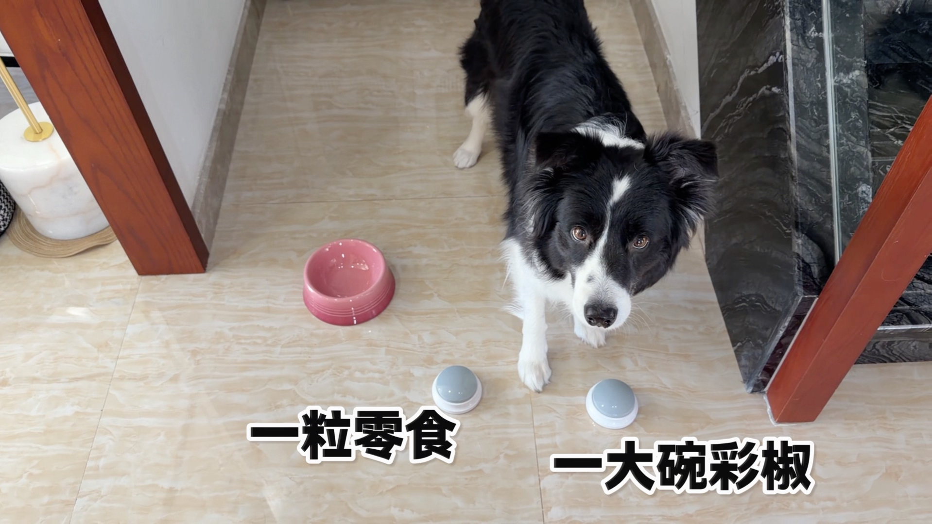 小狗：有些按钮碰过一次就已足够
