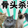 喂猫吃鸡骨头，无异于杀猫！鸡骨最常见，也最危险【猫奴怎么办