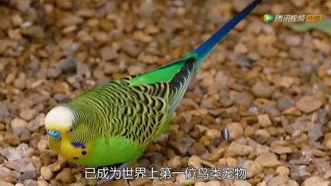 d245cc168fe56511d602f199807106b4604f96b9.jpg@480w_270h_1c