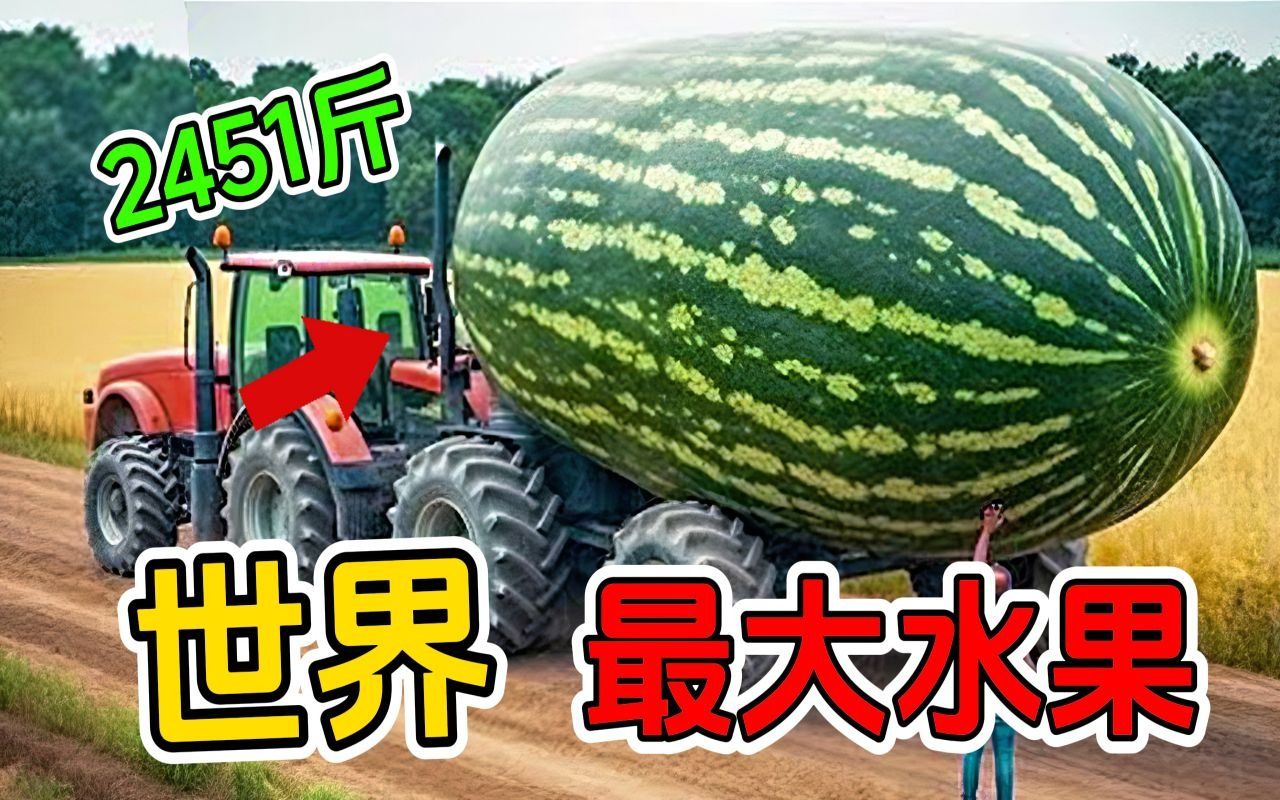 全世界十种最大的水果蔬菜！第一名重达2451斤！堪比一辆汽车！
