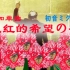 【初音ミク】《火红的希望の花》【奥尔加主题曲】【催泪向】原曲：《火红的萨日朗》【Chiako老半仙】