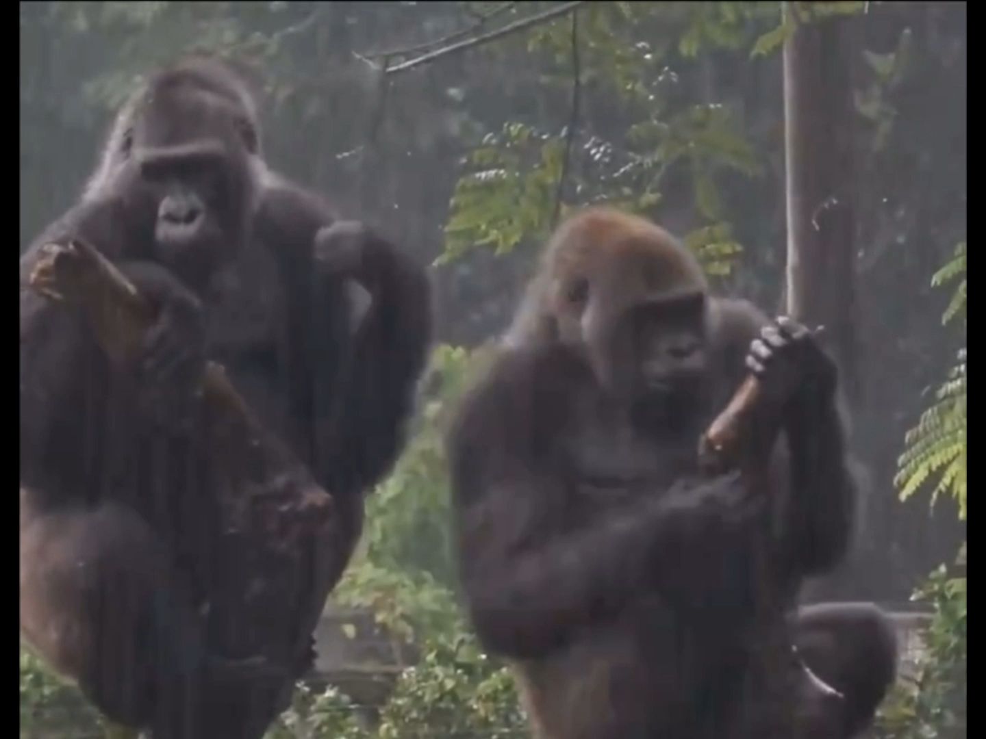 When I'm angry, I can't even get a bath.