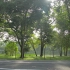 空镜头视频素材 锻炼晨跑清晨树木公园 素材分享