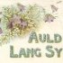 Auld Lang Syne 友谊天长地久 英文儿歌 原唱版及伴奏版